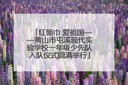 红领巾 爱祖国——黄山市屯溪现代实验学校一年级少先队入队仪式圆满举行