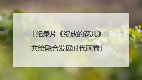 纪录片《绽放的花儿》：共绘融合发展时代画卷