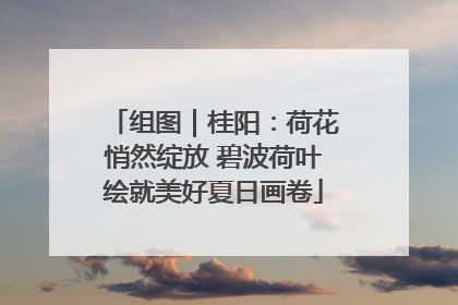 组图｜桂阳：荷花悄然绽放 碧波荷叶绘就美好夏日画卷