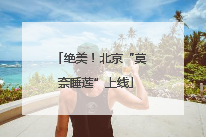绝美！北京“莫奈睡莲”上线