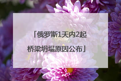 俄罗斯1天内2起桥梁坍塌原因公布
