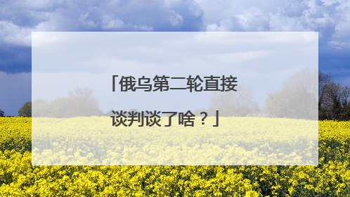 俄乌第二轮直接谈判谈了啥？