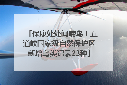 保康处处闻啼鸟！五道峡国家级自然保护区新增鸟类记录23种