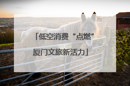 低空消费“点燃”厦门文旅新活力