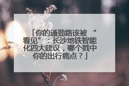 你的通勤路该被 “看见”：长沙地铁智能化四大建议，哪个戳中你的出行痛点？