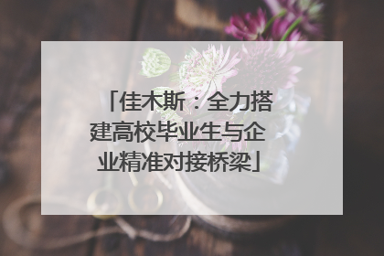 佳木斯：全力搭建高校毕业生与企业精准对接桥梁