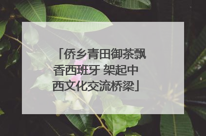 侨乡青田御茶飘香西班牙 架起中西文化交流桥梁