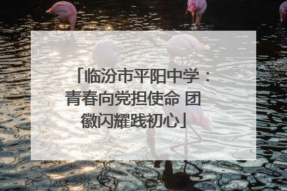 临汾市平阳中学：青春向党担使命 团徽闪耀践初心