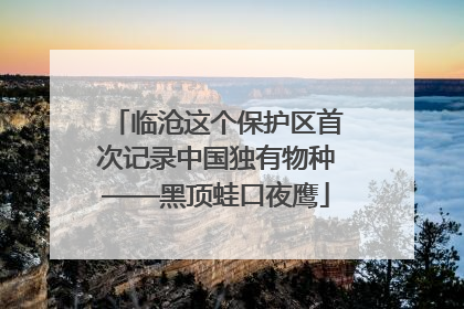 临沧这个保护区首次记录中国独有物种——黑顶蛙口夜鹰