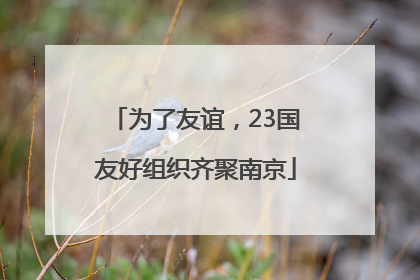 为了友谊，23国友好组织齐聚南京