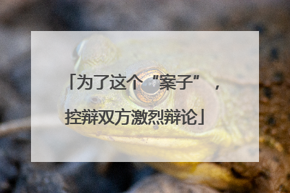 为了这个“案子”，控辩双方激烈辩论