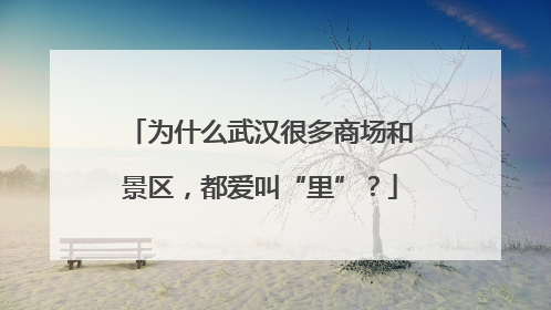 为什么武汉很多商场和景区，都爱叫“里”？