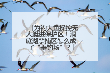 为钓大鱼操控无人艇进保护区！洞庭湖禁捕区怎么成了“垂钓场”？