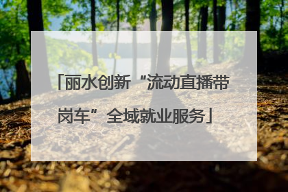 丽水创新“流动直播带岗车”全域就业服务