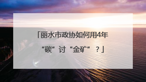 丽水市政协如何用4年“碳”讨“金矿”？