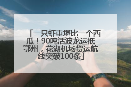 一只虾重堪比一个西瓜！90吨活波龙运抵鄂州，花湖机场货运航线突破100条
