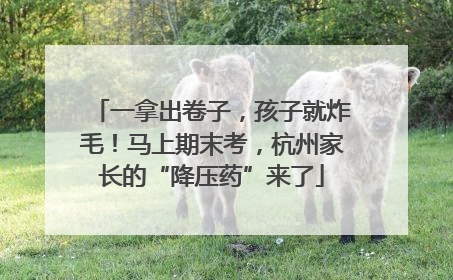 一拿出卷子，孩子就炸毛！马上期末考，杭州家长的“降压药”来了