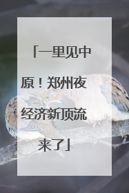 一里见中原！郑州夜经济新顶流来了