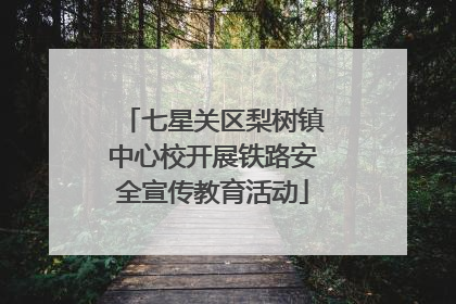 七星关区梨树镇中心校开展铁路安全宣传教育活动