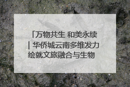 万物共生 和美永续｜华侨城云南多维发力 绘就文旅融合与生物多样性保护新图景
