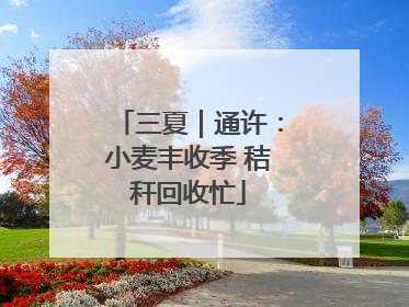 三夏｜通许：小麦丰收季 秸秆回收忙