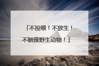 不投喂！不放生！不触摸野生动物！
