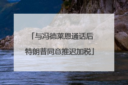 与冯德莱恩通话后 特朗普同意推迟加税