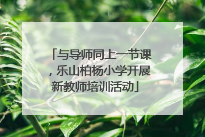 与导师同上一节课，乐山柏杨小学开展新教师培训活动
