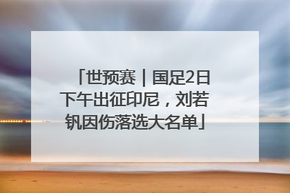 世预赛｜国足2日下午出征印尼，刘若钒因伤落选大名单