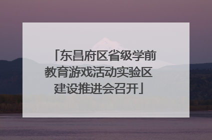 东昌府区省级学前教育游戏活动实验区建设推进会召开
