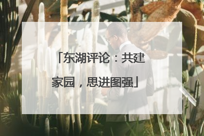 东湖评论：共建家园，思进图强