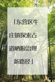 东营区牛庄镇探索占道晒粮治理新路径