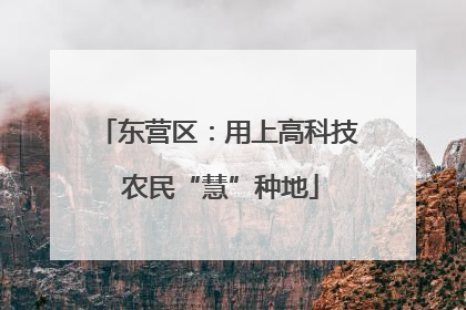 东营区：用上高科技 农民“慧”种地