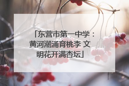 东营市第一中学：黄河潮涌育桃李 文明花开满杏坛