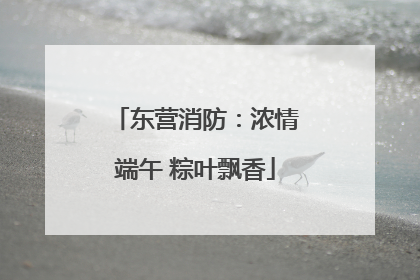 东营消防：浓情端午 粽叶飘香
