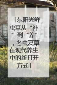 东阳光鲜虫草从“补”到“养”，冬虫夏草在现代养生中的新打开方式