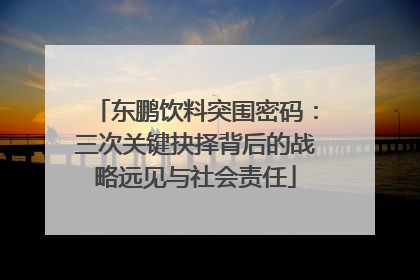 东鹏饮料突围密码：三次关键抉择背后的战略远见与社会责任