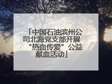 中国石油滨州公司北海党支部开展“热血传爱”公益献血活动