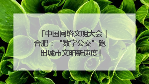 中国网络文明大会｜合肥：“数字公交”跑出城市文明新速度