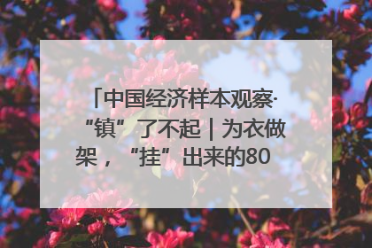 中国经济样本观察·“镇”了不起｜为衣做架，“挂”出来的80亿元“衣架产业”
