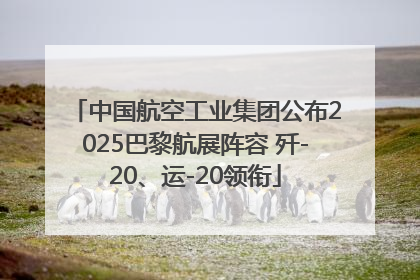 中国航空工业集团公布2025巴黎航展阵容 歼-20、运-20领衔