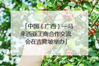 中国（广西）—马来西亚工商合作交流会在吉隆坡举办