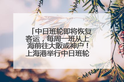 中日班轮即将恢复客运，每周一班从上海前往大阪或神户！上海港举行中日班轮船港联动应急演练