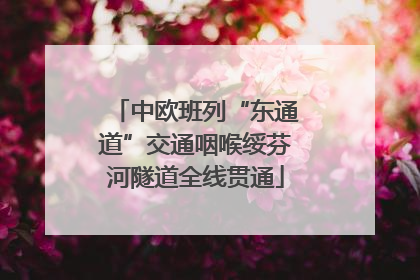 中欧班列“东通道”交通咽喉绥芬河隧道全线贯通