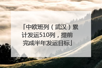 中欧班列（武汉）累计发运510列，提前完成半年发运目标
