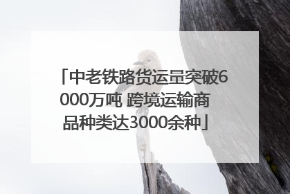 中老铁路货运量突破6000万吨 跨境运输商品种类达3000余种