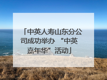 中英人寿山东分公司成功举办 “中英嘉年华”活动