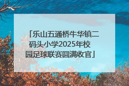 乐山五通桥牛华镇二码头小学2025年校园足球联赛圆满收官