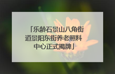乐龄石景山八角街道景阳东街养老照料中心正式揭牌