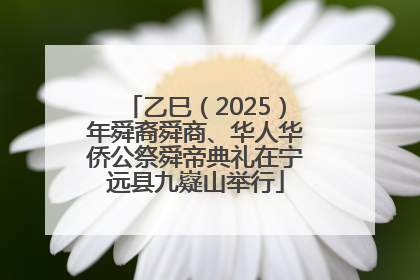 乙巳（2025）年舜裔舜商、华人华侨公祭舜帝典礼在宁远县九嶷山举行
